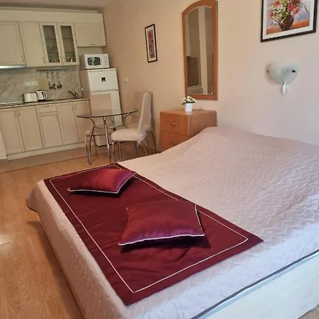 Prestige Spacious Apartament